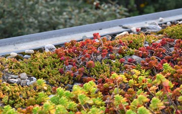 the cost of Barbhas Uarach green roof installation
