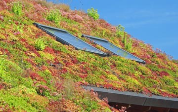 Barbhas Uarach living roof systems