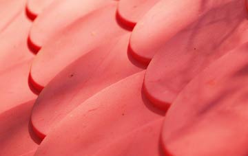 Barbhas Uarach plastic roof costs