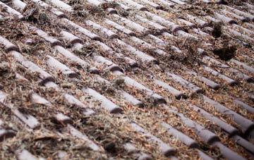 Barbhas Uarach roof cleaning companies