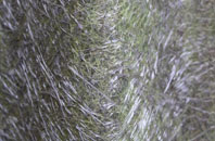 Barbhas Uarach fibreglass roof work